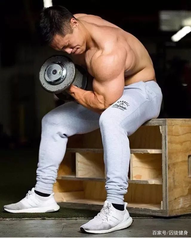 肌头|手臂太细怎么练掌握这3点，“肱三头轰炸”练出麒麟臂