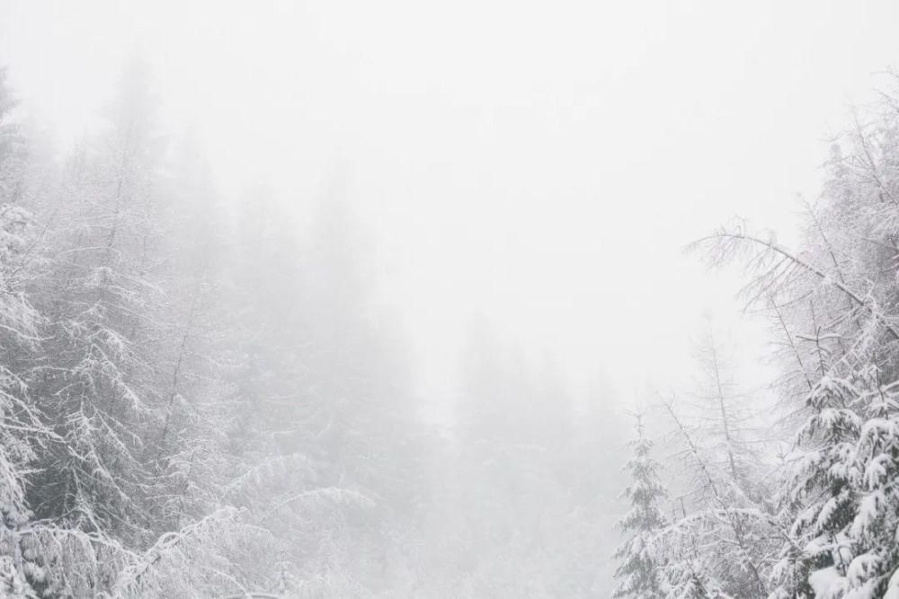 阅读|用读书对抗时间,逃离醉生梦死与无聊——阅读不是救赎,而是严父