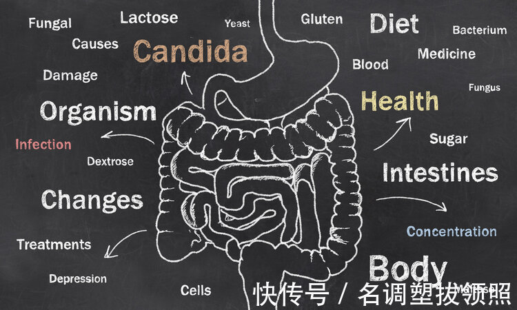 实验|把癌细胞注射到健康人体内,会不会得癌症美国医生做了这项实验