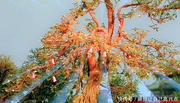 观音菩萨|西游记后传他自称小仙 原著中他连如来佛祖都不放在眼里