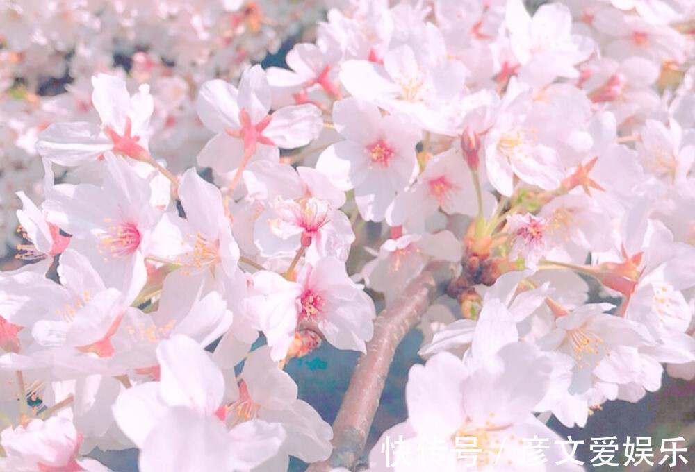 星座师|就算被人轻视,也不会向命运妥协的星座,在低谷中也能保持自我