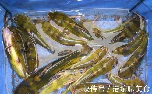 不管炖什么鱼,都不要放这“两种调料”,否则鱼很腥很难吃