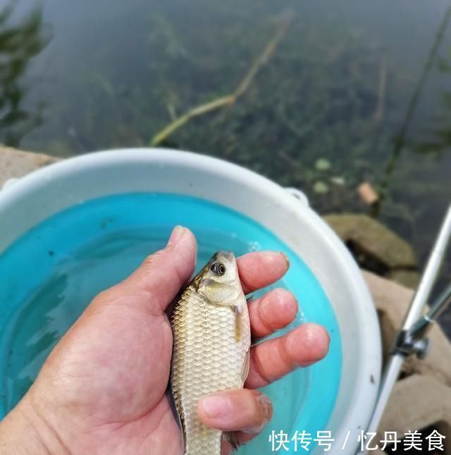 大鱼|高温天,钓大鱼先克服这些“难题”,不是我吹,渔获瞬间猛增几倍
