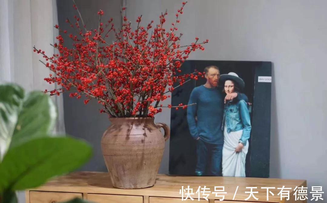 冬青|此种坚强花,专挑寒冬开,红果挂满枝,十分吉祥的年宵花