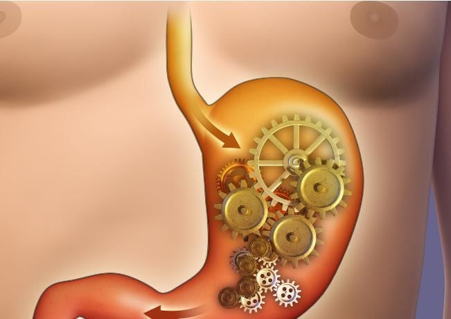 黄金|养生专家:饭后半小时养生黄金期,坚持好习惯,长寿或向你招手