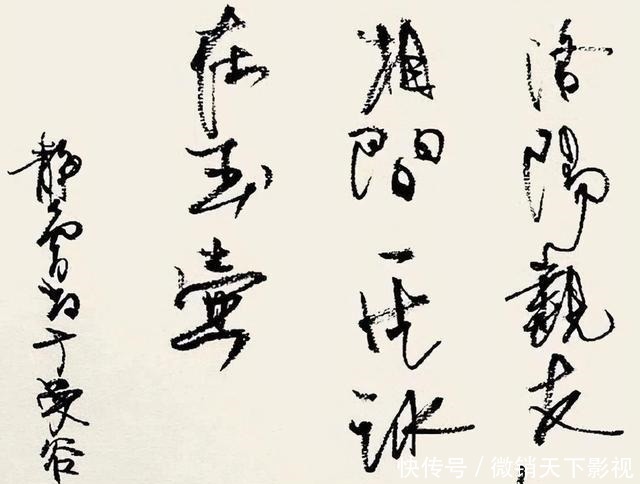 美女导演徐静蕾临《赤壁赋》,依然我行我素,独立专行,形神欠缺
