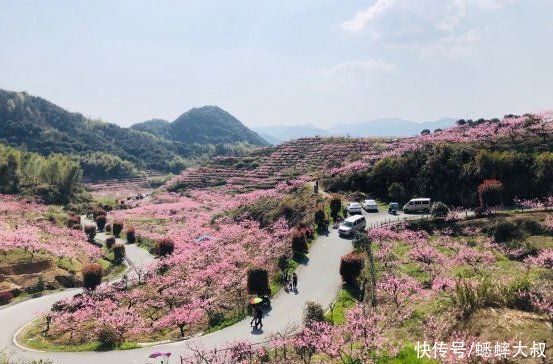 中年|杭州郊区有个世外桃源村，芳草鲜美，落英缤纷，阳春好去处