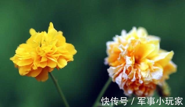 永久|8月中旬，真心不变，旧爱澎湃，再次牵手，不再放开，恩爱到永久