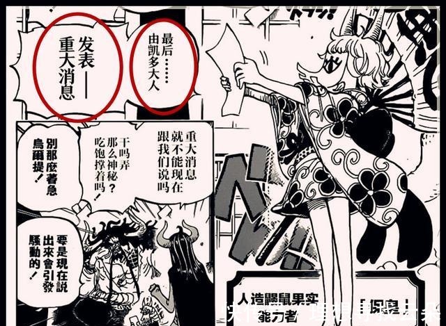 海贼团|海贼王凯多为儿子大和找相亲对象,斯慕吉和康珀特有机会被选中