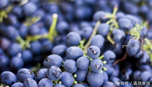 無氧運動|長壽的人都有這5個好習慣,50歲之后照著做,多活十年并非難事