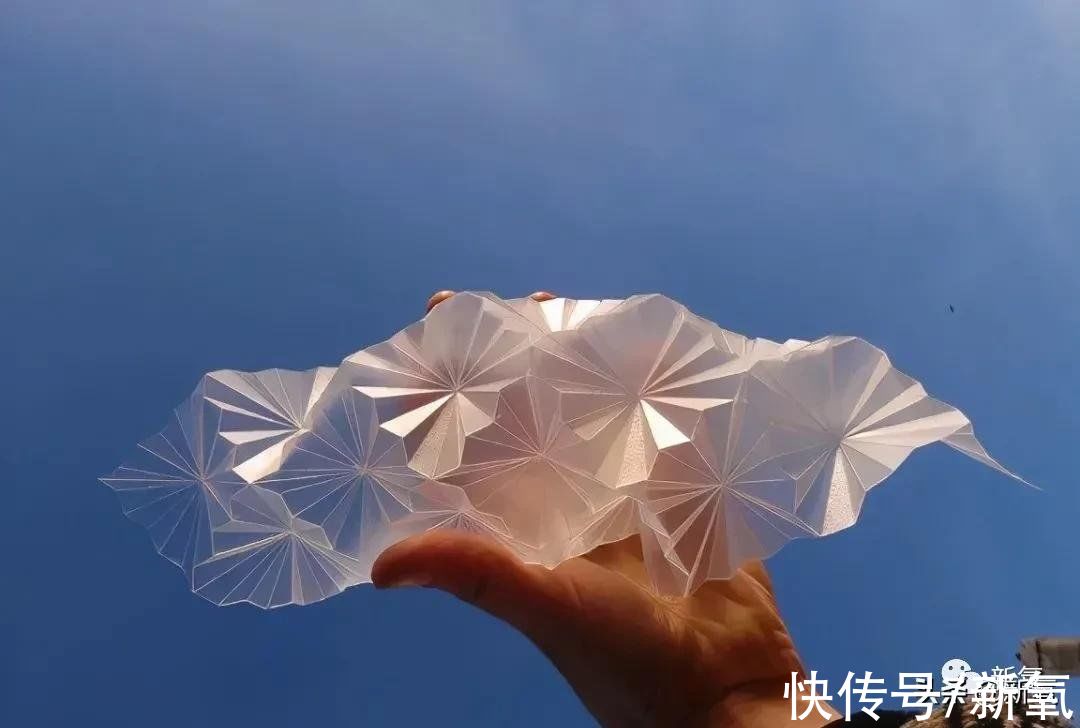 白纸#陈晓得了折纸界奥斯卡大奖,这也太绝了吧