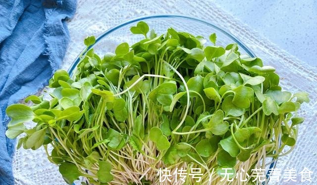 毛菜|秋天遇到这种蔬菜,再贵也要买,营养丰富,脆嫩爽口,去秋燥补钙!