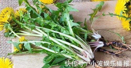 黄曲霉毒素|肝功能好的人,晨起后一般有4个表现,占2个以上,恭喜肝还不错