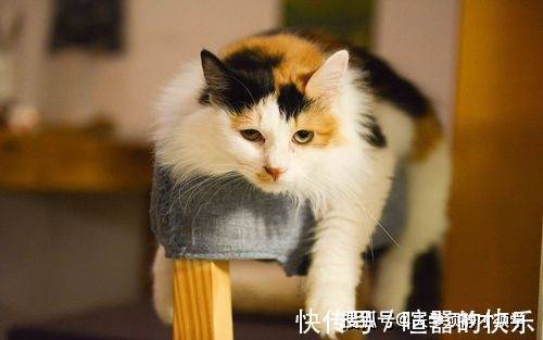 |幽默笑话:这两天感冒严重,我去医院就诊,给我输液的是一位美女护士!