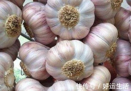 老邓|大蒜放在枕头下,坚持一段时间,好处不请自来,早知早好