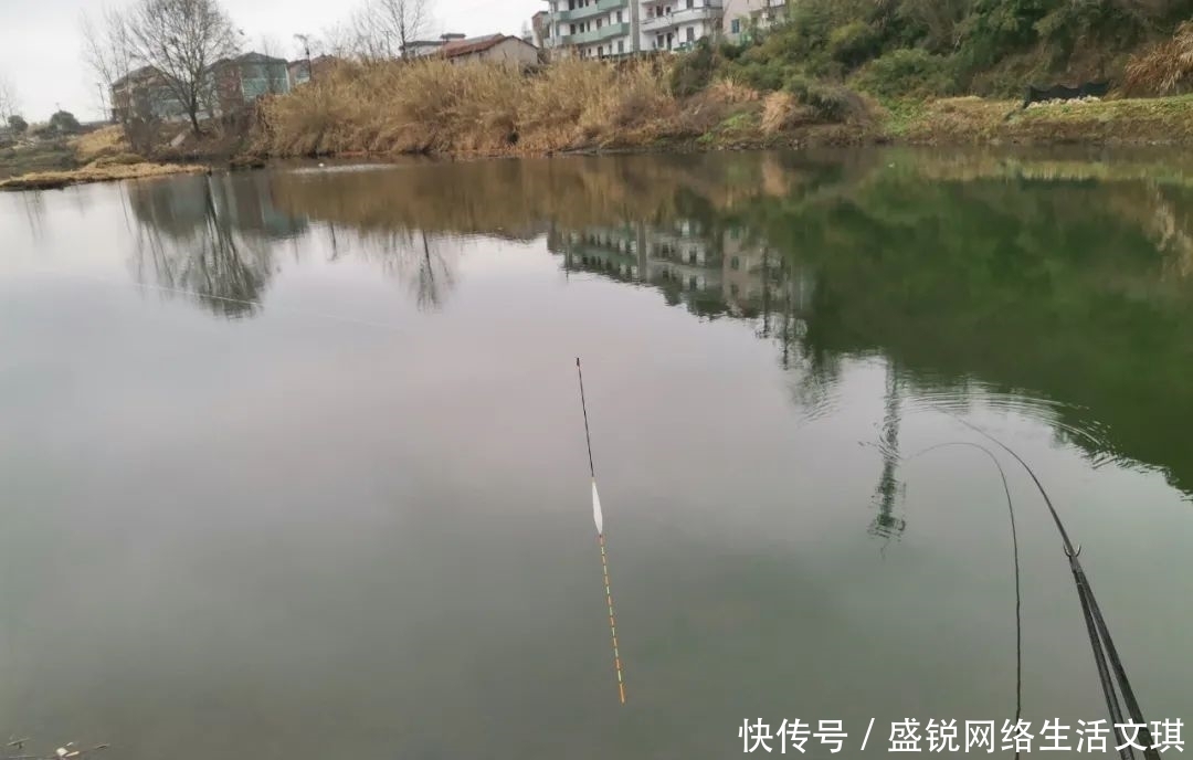 谁说钓鱼找底不重要？它的作用可不仅是为了调漂，绝不可省略