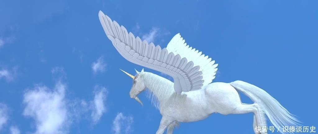 归鞘|落花成泥,对酒当歌,剑影归鞘