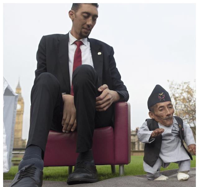 身高|4岁前是孩子身高的分水岭,3大秘籍帮助孩子身高发育快人一步