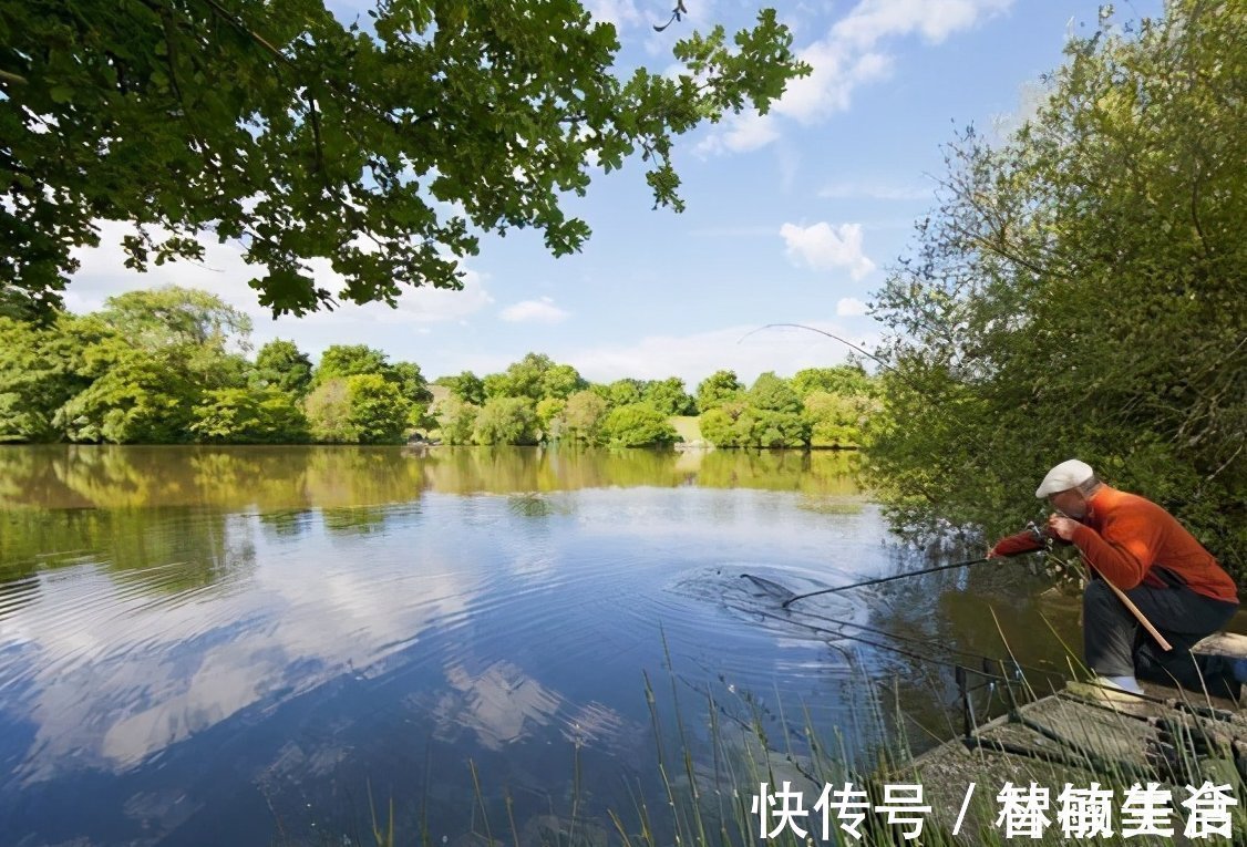 水域|钓鱼调漂技巧！浮漂调漂别搞得太复杂，一看就会调漂方法！