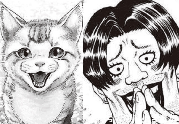 怪人|一拳超人：波罗斯虽死，他的妹妹来到地球，要成为埼玉的小迷妹？