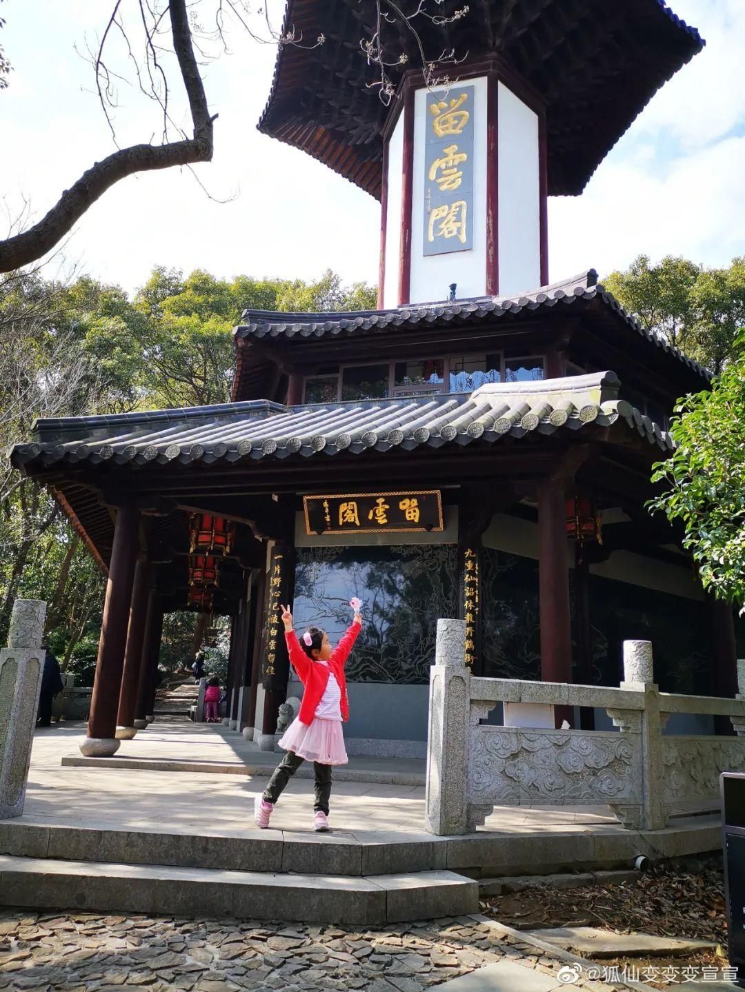 老年|留松过大年丨松江这些红红火火的地方，你去打卡了吗？