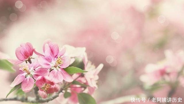 诗词中最美的25个“相思”名句,句句相思入骨,值得收藏