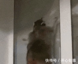 |搞笑GIF图:世上最尴尬的电风扇,从“出生”时就注定不能转动