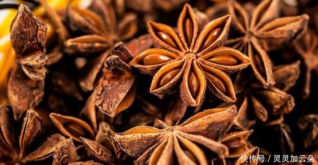 香料,最低调却最有态度