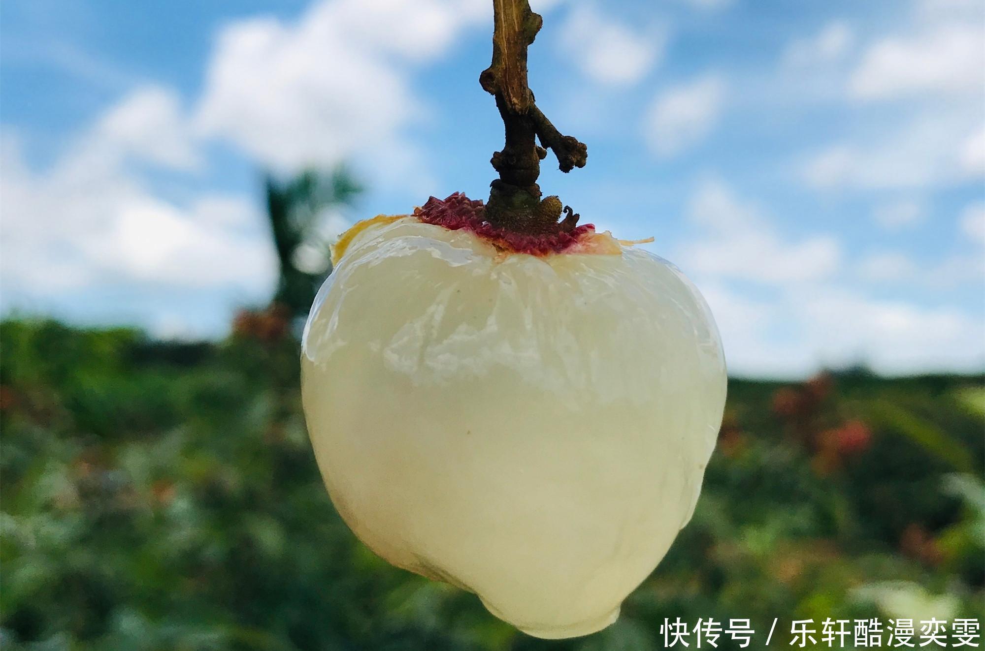 贫富|明日小满,夏日未满多吃“3果3菜”,无论贫富,顺利安康过夏天