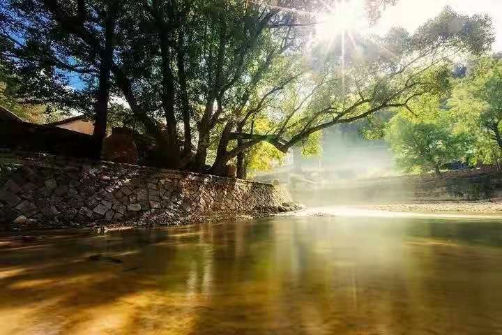 醉美雁溪|这个秋天 让我们一起遇见醉美雁溪 赏银杏纷飞