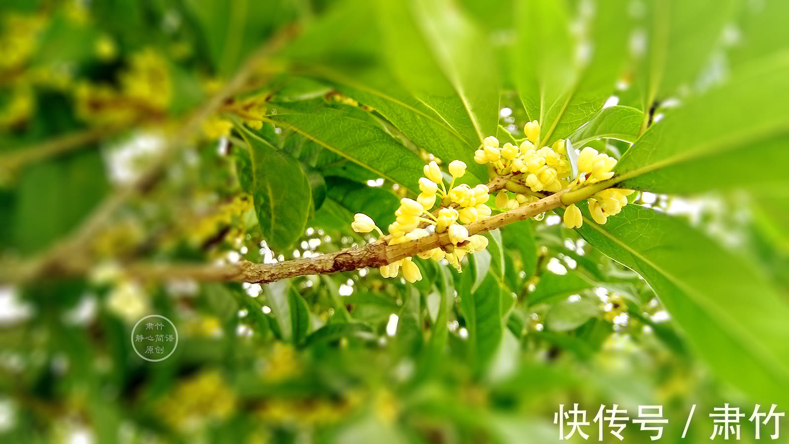 哲理$将热情在雨中沉静,便懂得关于爱的哲理