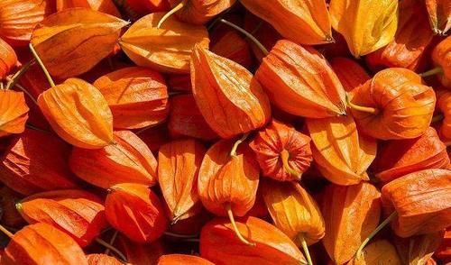 黄疸型肝炎|女性都想年轻，吃养颜食物，通肠健胃、行气祛淤，越吃越好