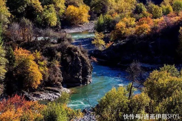 中年|走进伊犁河谷，眺望天山草原的秀美风光!