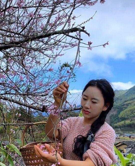 揭秘网红"武夷乡愁沈丹"的真实身份:到底是富婆还是离异村妇?