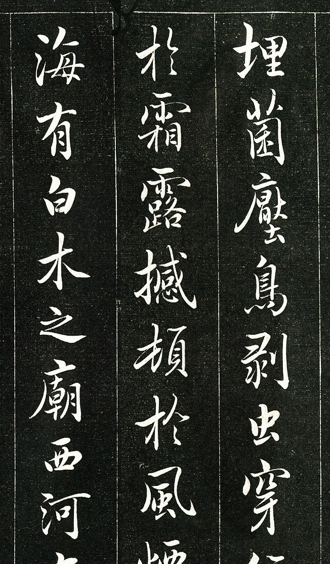 枯树赋#褚遂良水平最高的小楷,洗尽铅华、不染尘俗,不愧是“书坛教主”