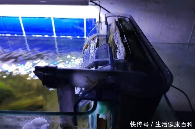 为什么很多鱼缸水泵会有杂音,什么水泵的声音最小
