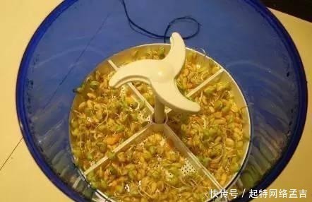 豆芽机|这11件家具家电谁买谁后悔啊,我家就中了三个,花了很多冤枉钱