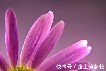 祥云|7月,相思刻骨，祥云绕天，喜鹊报喜，真情不负，爱情事业双收