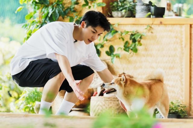 去马尔代夫也挽不回《向往》的颓势?或许这档综艺是时候该结束了