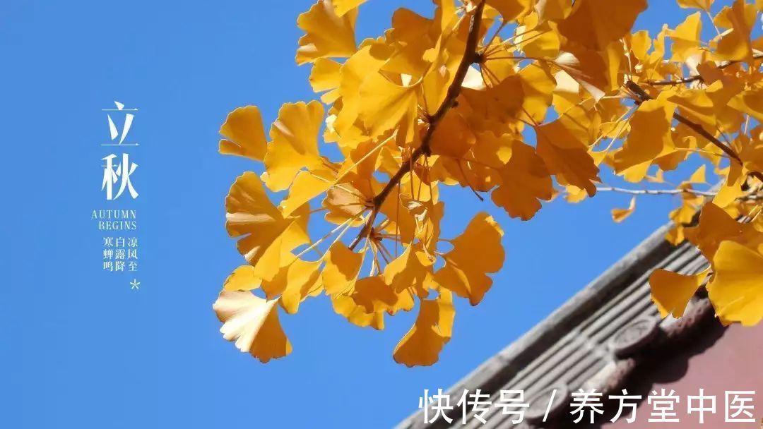 『今日立秋』这样养生,整个秋天都不生病|养方堂中医| 苹果