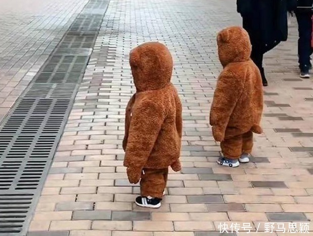 双胞胎|双胞胎遛弯偶遇泰迪,“撞衫”场面太搞笑了,宝宝:好像哪里不对