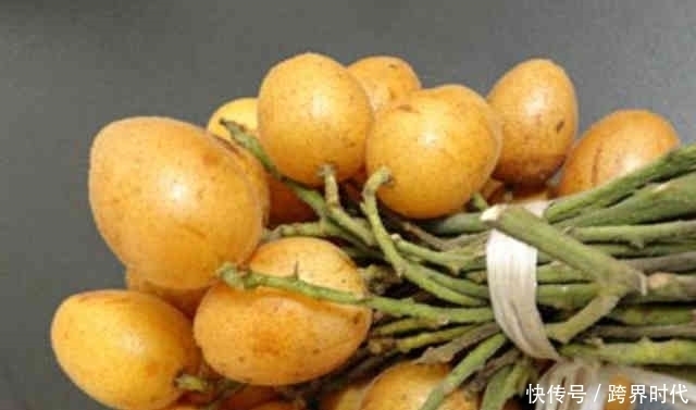 野果|在南方这种野果,成熟后烂在树上没人吃,北方人却高呼“吃不起”