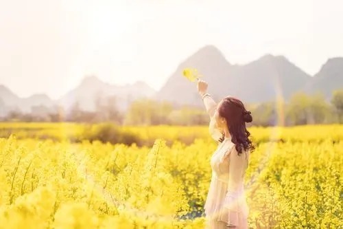 悦人不如悦己:你若盛开,清风自来