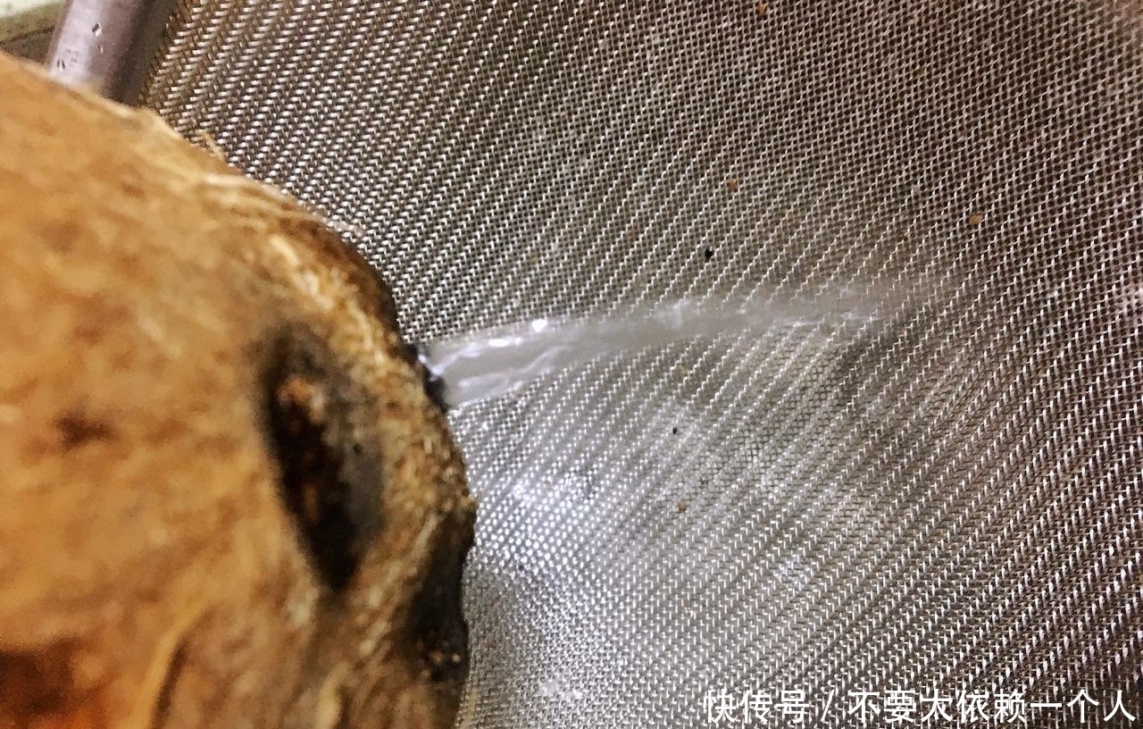 椰肉|夏天炎热,教你做营养又下火的鸡汤,钾含量足,连喝3碗才过瘾