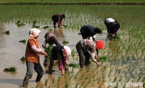 放光|俗语:穷人脚上无毛,富人头顶放光,讲的是啥?老祖宗的慧眼识人