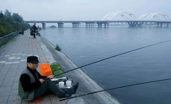 这种鲫鱼顶级钓法,会的人不多,绝对实力技能,不要白不要!