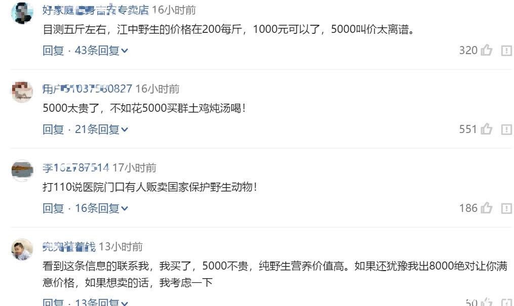 野生|男子钓获野生“老鳖精”,街头叫卖5千,网友:最多值1千!