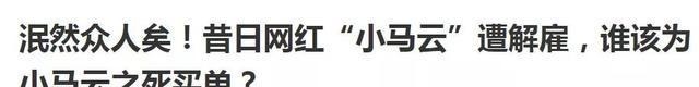 小马|“小马云”究竟被谁毁了