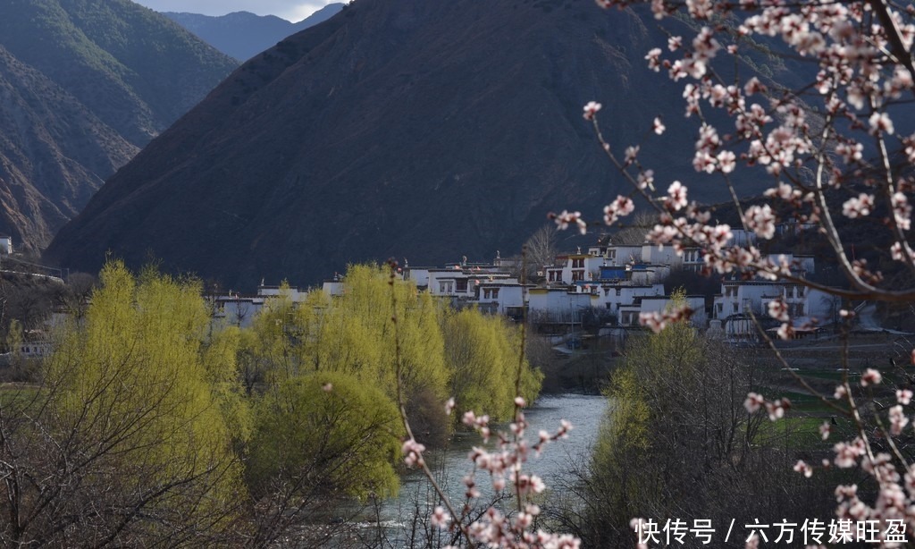 甘孜得荣太阳谷：十里桃花 灼灼其华