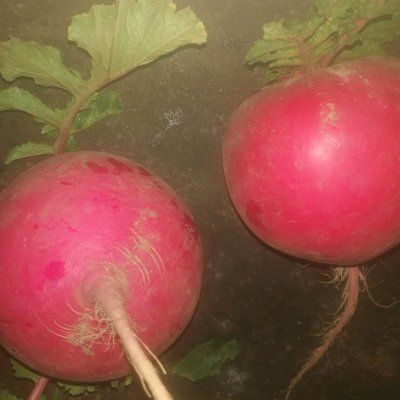 下饭|家常蒸萝卜丸子下饭界大哥大！看一眼就被馋哭